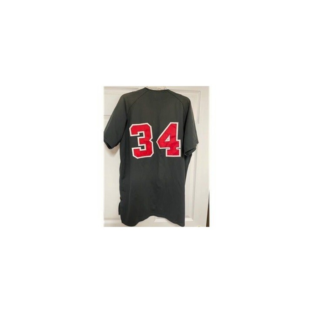 Pinckney Pirates Baseball Jersey Size 48 #34 Michigan View 2